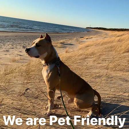Lejlighed Arunes Palanga