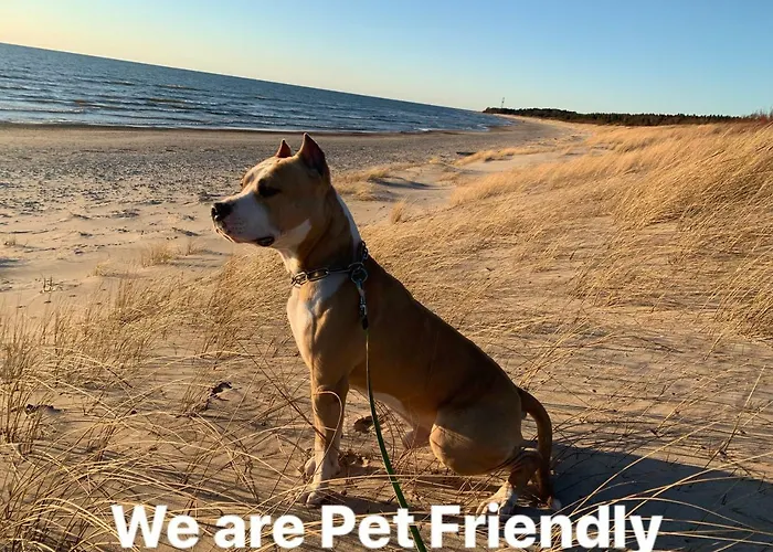 شقة Arunes بالانغا